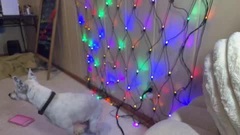 elle online show from 02-05-26, 10:36