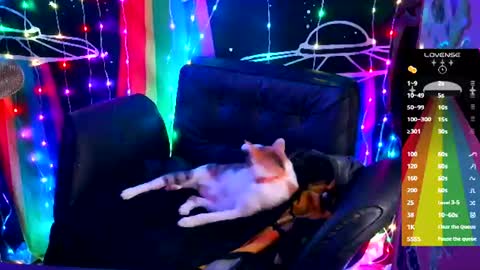 Ellie online show from 06-18-26, 09:14