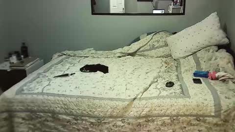 Elpouro online show from 11-08-25, 08:25