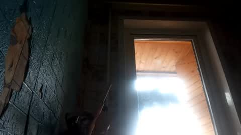 Alisa online show from 04-25-26, 09:45