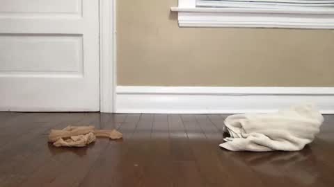 Bi Bro online show from 10-15-25, 04:56