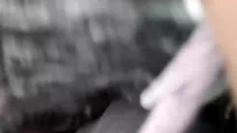 elvergg1 online show from 02-01-26, 07:18