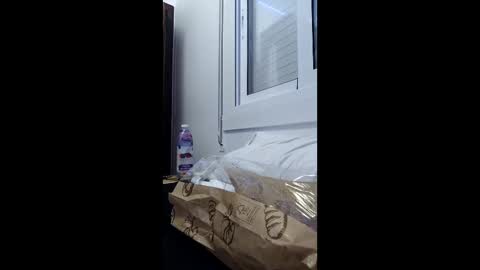 elviajeronightclub online show from 02-08-26, 02:53