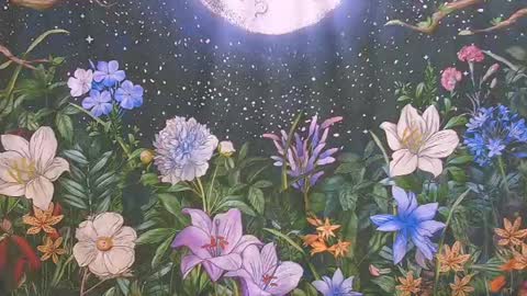Ember Starleena online show from 07-24-26, 02:37