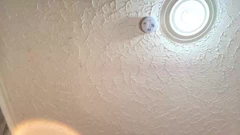 Emiily Carter online show from 09-29-25, 08:24