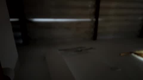 Snapshot of emma_lean chatting on 12-16-24, 11:55 whises lits online show from 12-16-24, 11:55