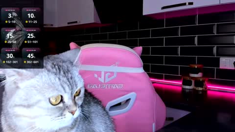 Shaiya online show from 01-17-25, 08:02