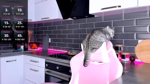 Shaiya online show from 02-28-25, 12:10