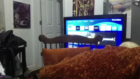 Snapshot of empusalamia chatting on 01-25-25, 09:57 empusalamia online show from 01-25-25, 09:57