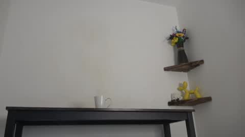 Snapshot of english_rose__ chatting on 02-12-25, 11:07 Rosie online show from 02-12-25, 11:07