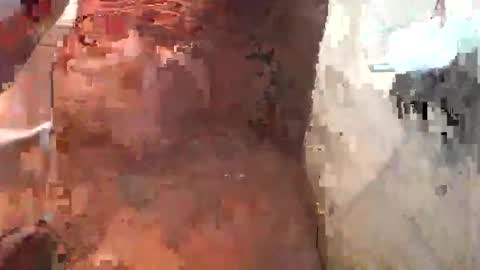 englishhunginasia online show from 01-22-25, 02:26