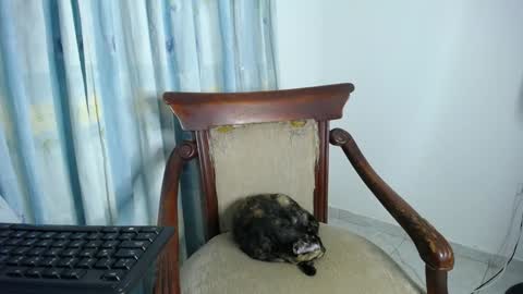 Eolicasextwo online show from 12-03-24, 02:14