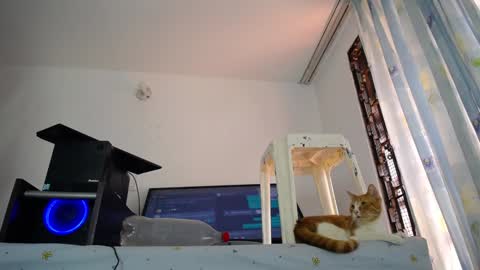 Eolicasextwo online show from 12-10-24, 05:11