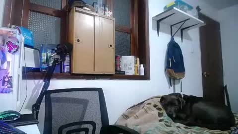 Snapshot of esjrobles chatting on 02-10-25, 04:08 Esteban online show from 02-10-25, 04:08