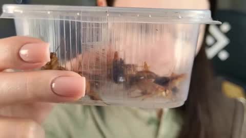 Snapshot of esterhernandes chatting on 02-21-26, 02:07 kelt0901 - my channel in telegra online show from 02-21-26, 02:07