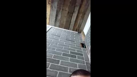 Snapshot of ethanfish600 chatting on 03-03-26, 07:25 ethanfish600 online show from 03-03-26, 07:25