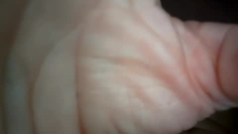 Snapshot of ethereumumm chatting on 10-31-25, 06:31 ethereumumm online show from 10-31-25, 06:31