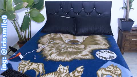 Snapshot of eva_brooks1 chatting on 12-20-24, 03:36 Iris Smile independent model online show from 12-20-24, 03:36