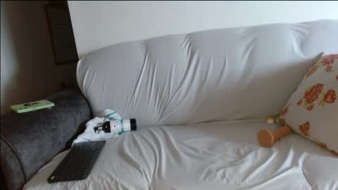 Snapshot of eva_stark57 chatting on 05-08-26, 05:40 eva_stark57 online show from 05-08-26, 05:40