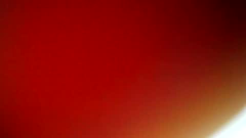 evangely online show from 02-09-25, 11:36