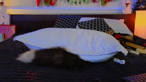 Eva online show from 12-08-24, 04:25