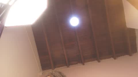 DAYANITA online show from 06-10-26, 07:02