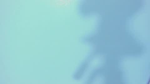    online show from 03-04-26, 12:22