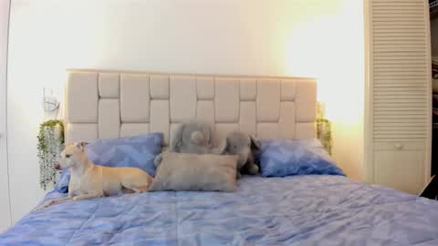 Snapshot of even_scoty chatting on 10-25-25, 12:23 even_scoty online show from 10-25-25, 12:23