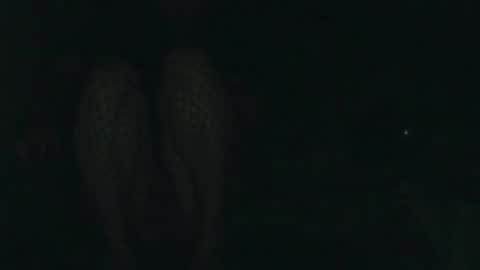 evermore8807 online show from 12-14-25, 04:07