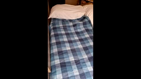 Snapshot of everydayistrivefoward chatting on 02-13-26, 07:04 SubGelLizzy online show from 02-13-26, 07:04