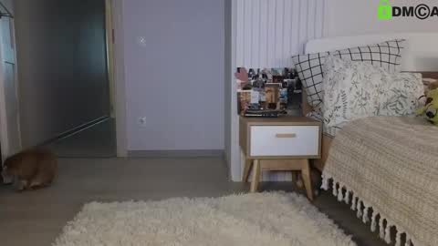 evi_woow online show from 02-22-25, 05:13