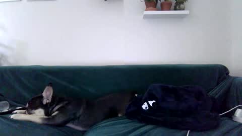 Snapshot of evillers1 chatting on 10-27-25, 11:41 Badblondebunny online show from 10-27-25, 11:41