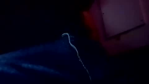 Snapshot of evocation514 chatting on 02-03-25, 04:57 Evocation online show from 02-03-25, 04:57