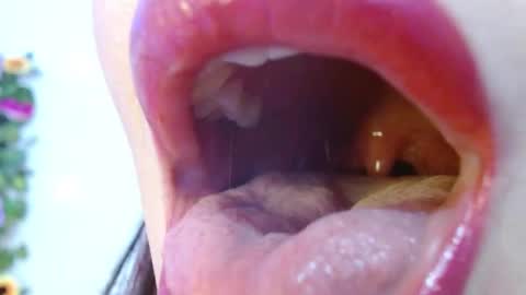 Snapshot of evolethmontenegros chatting on 12-15-24, 09:03 Evoleth online show from 12-15-24, 09:03