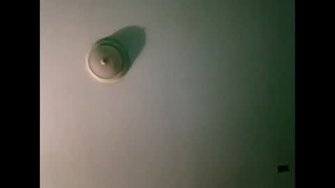 Snapshot of experttreecompany chatting on 03-21-26, 10:31 experttreecompany online show from 03-21-26, 10:31