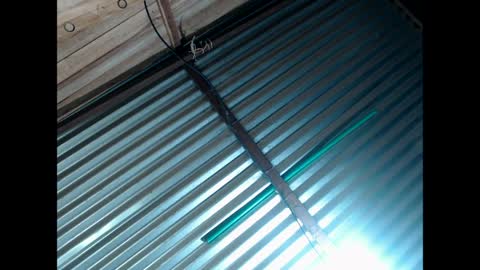 exxclusivo online show from 03-30-26, 06:14