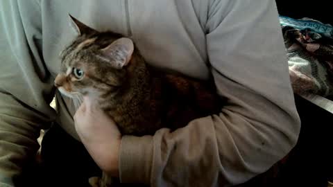 Fabius online show from 02-05-25, 08:54