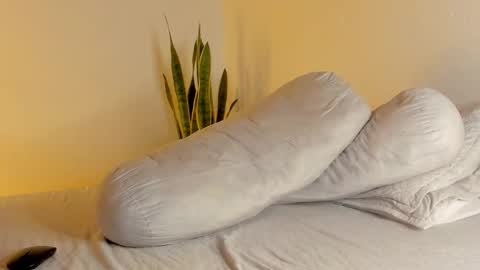 -  A N D E R online show from 01-13-26, 11:10