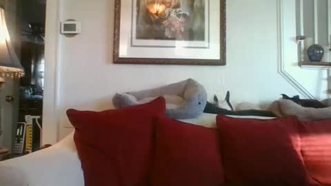 fairmount31 online show from 01-07-25, 01:46