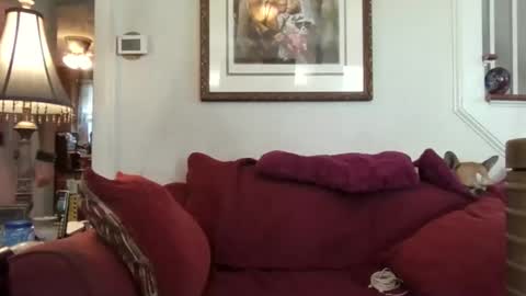 fairmount31 online show from 10-21-25, 01:56