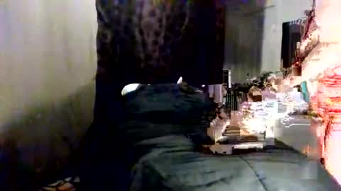Snapshot of fancie8 chatting on 06-08-26, 10:54 Fancie8 online show from 06-08-26, 10:54