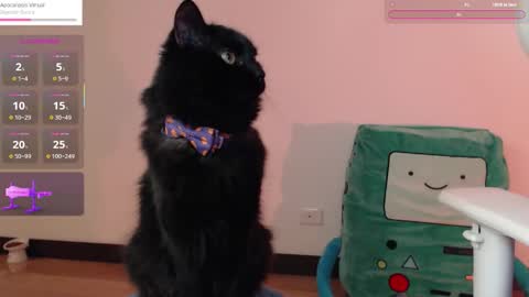  Fantasma.  online show from 10-25-25, 01:13