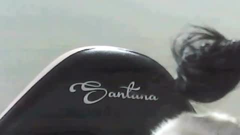 farianna_hot online show from 05-02-26, 10:26