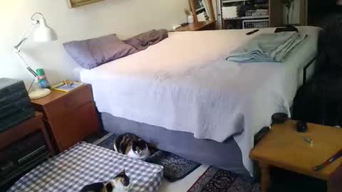 KingT online show from 04-19-26, 10:03