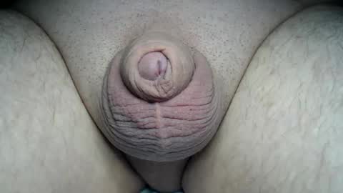 Snapshot of fatmanscock chatting on 03-01-26, 12:56 Fatmanscock online show from 03-01-26, 12:56