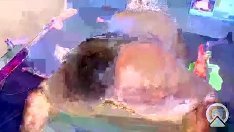 i like my pussy been toture online show from 01-04-25, 05:58