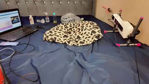i like my pussy been toture online show from 02-19-25, 11:06