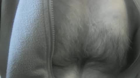 feardubh online show from 01-19-25, 03:53