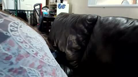 Snapshot of feastonme00 chatting on 07-04-26, 02:12 feastonme00 online show from 07-04-26, 02:12
