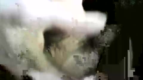 felicaste online show from 12-02-25, 08:59